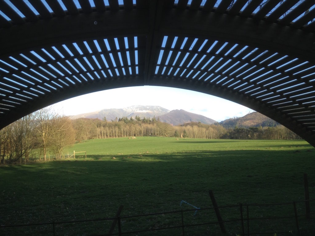 Late afternoon view, with the sun behind us, illuminating the fell slopes the other side of Bassenthwaite Lake.