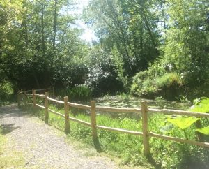 Fencing to the pond