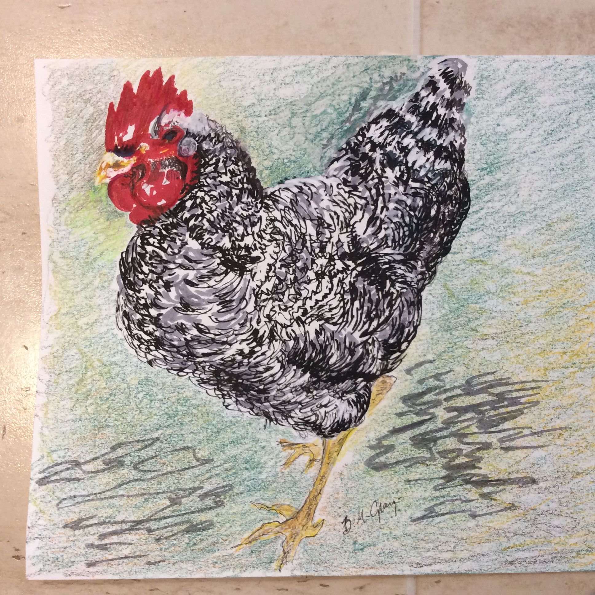 Chicken Bettie Gray