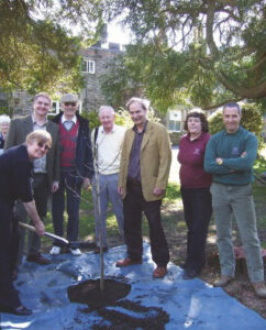 Tree planting independece day